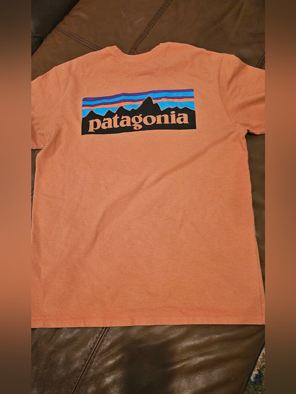 Mens Pataginia T-shirt